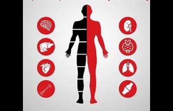 Regular Health Checkups: Your First Step Towards a Healthy Life