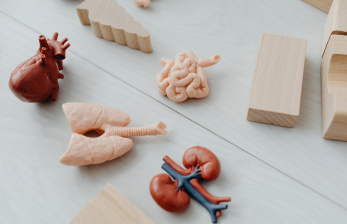 Full Body Health Checkup (Serum & Urine) – Complete Guide 2025