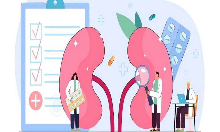 Understanding CKD, Stage 3 Kidney Disease, and C3G