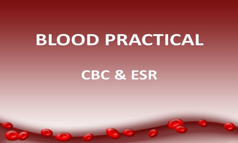 Complete Blood Count with ESR