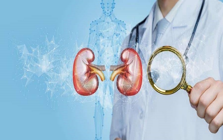 Understanding Chronic Kidney Disease: A Silent Threat to Your Health