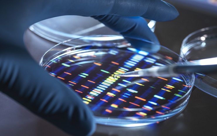 Genetic testing involves the analysis of your DNA