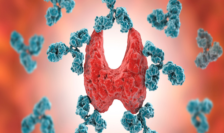 Thyroid function tests