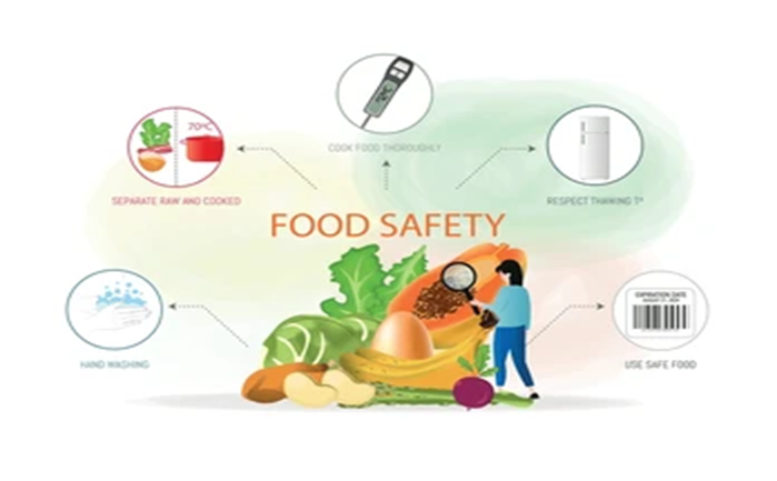 Health Card for Food Service Employees: Essential for Food Safety and Hygiene