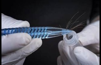 Hair Drug Test: Everything You Need to Know