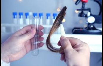 Hair Drug Test
